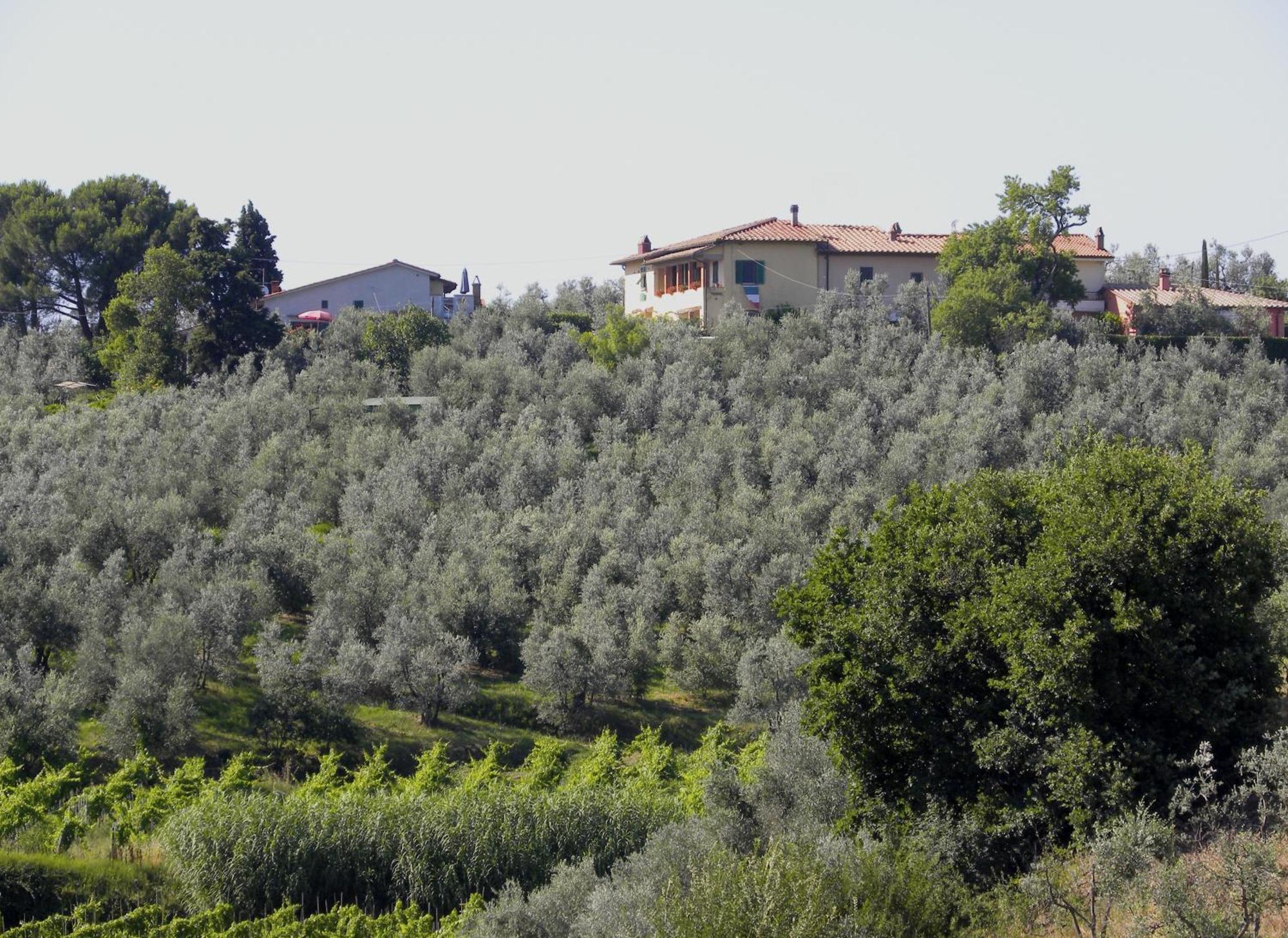 Agriturismo Podere Zollaio Винчи Номер фото