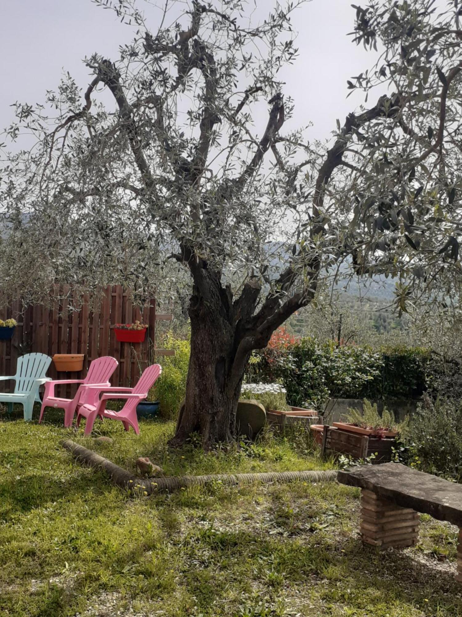 Agriturismo Podere Zollaio Винчи Экстерьер фото